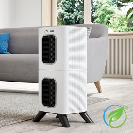 Promotional image for Air Oasis