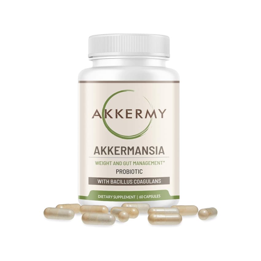 Promotional image for Akkermy