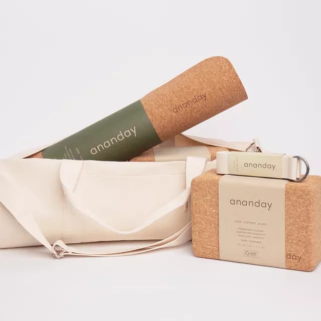 Promotional image for Ananday