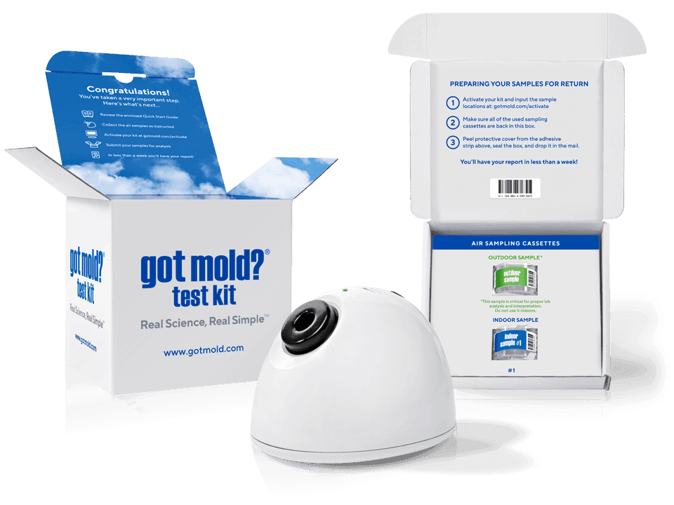 GOT MOLD?