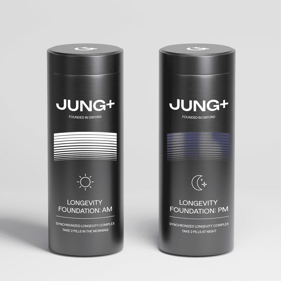 Promotional image for Jung+ Longevity