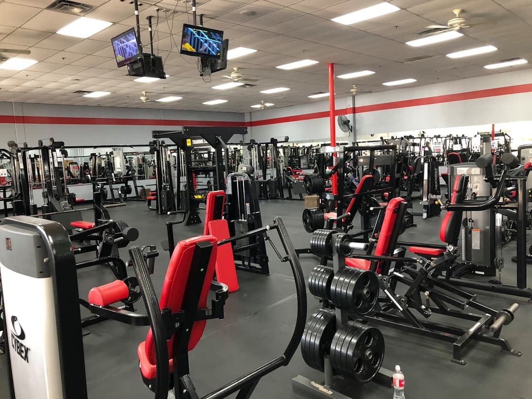 Promotional image for The Fitness Edge