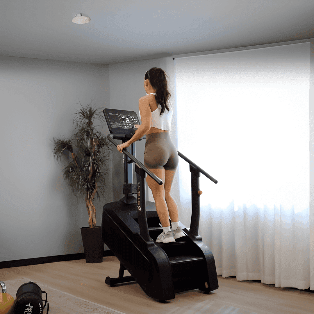 STEPR GO - view 2