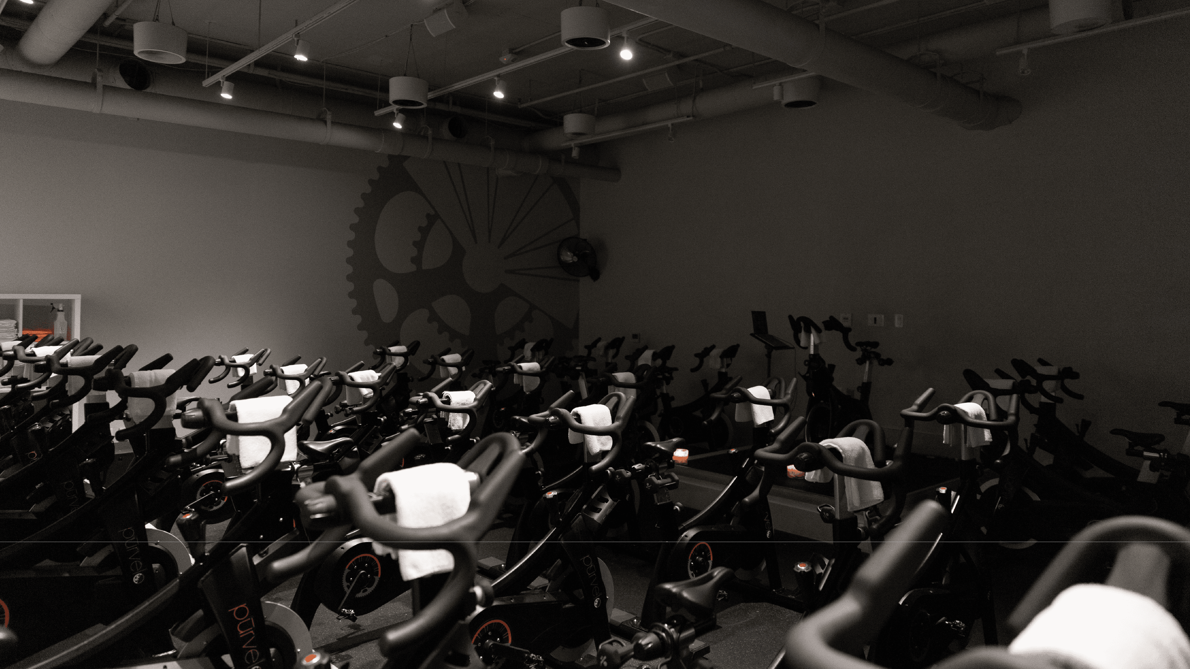 Pūrvelo Cycle image