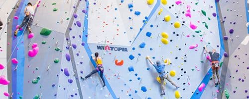 Central Rock Gym image