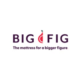 Big Fig Mattress