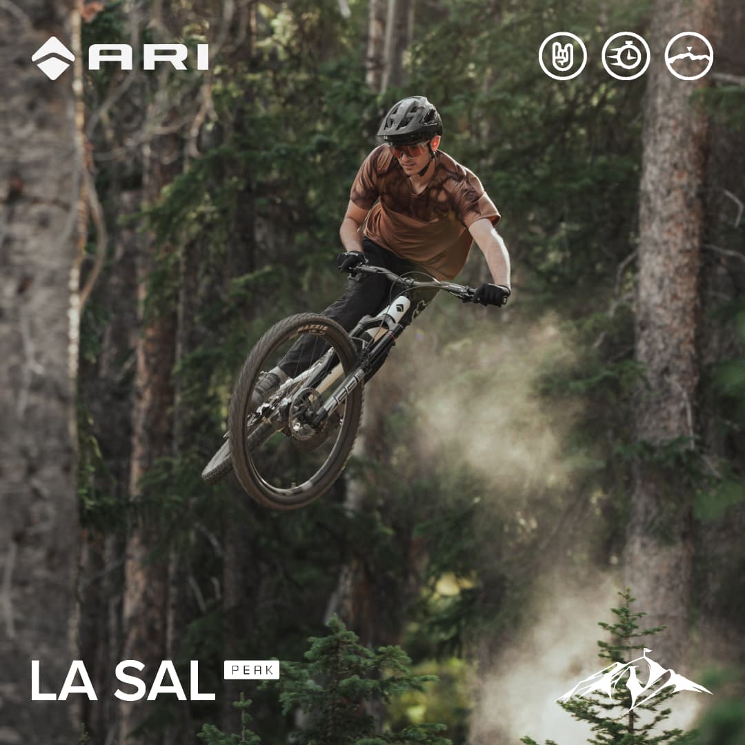 La Sal Peak - view 4