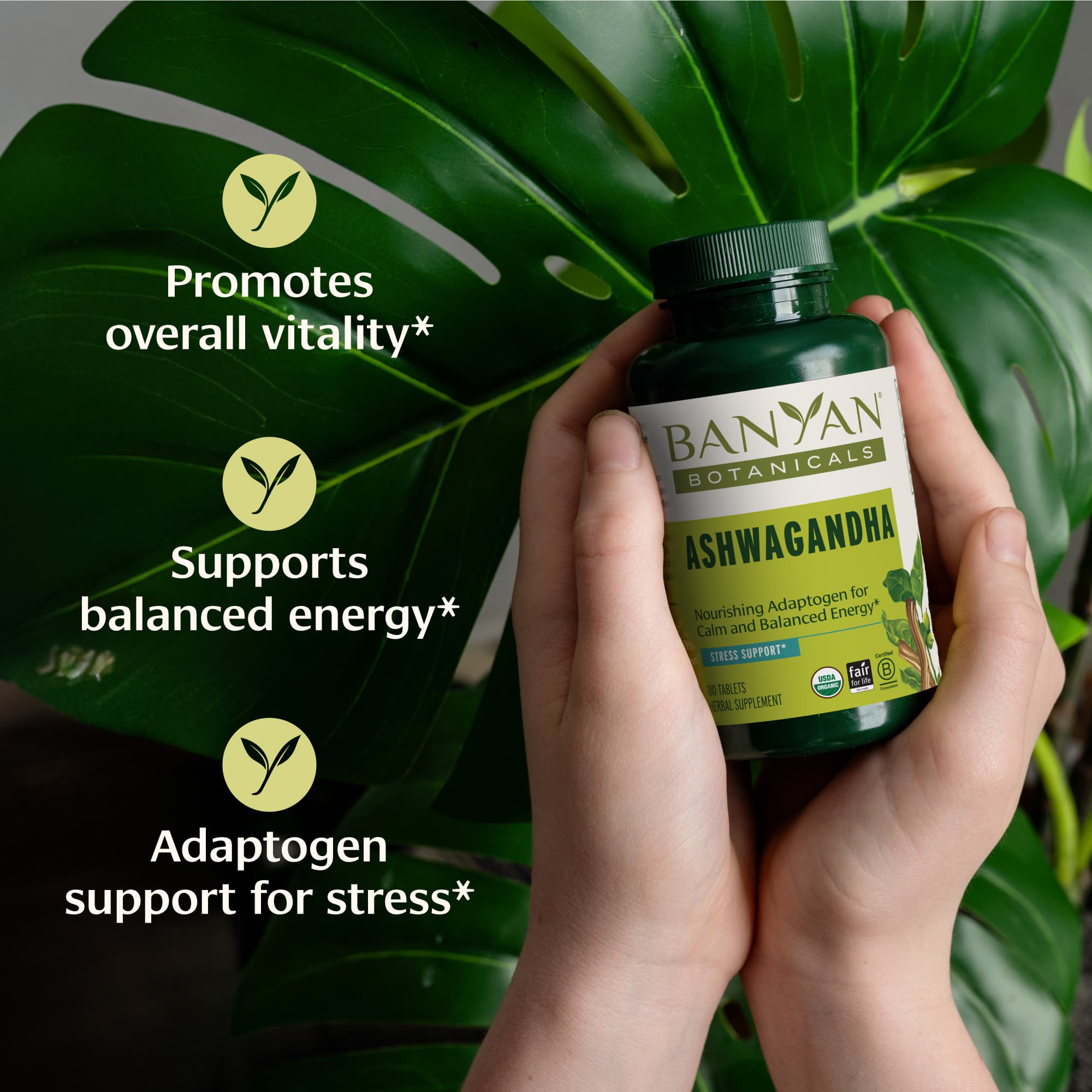 Ashwagandha Tablets - view 2