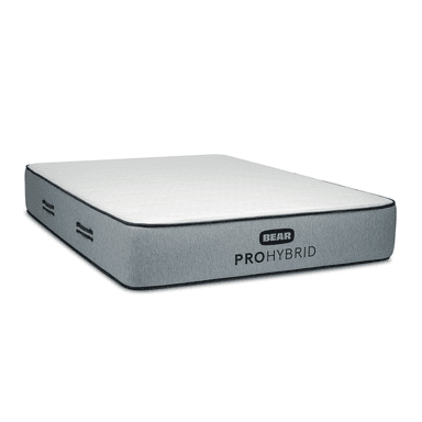 Product image for Bear Pro Hybrid