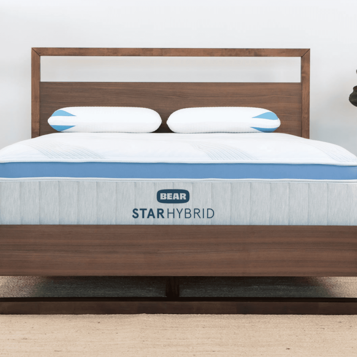 Bear Star Hybrid - view 4