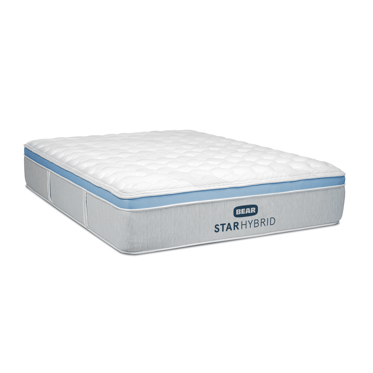 Bear Star Hybrid - view 1