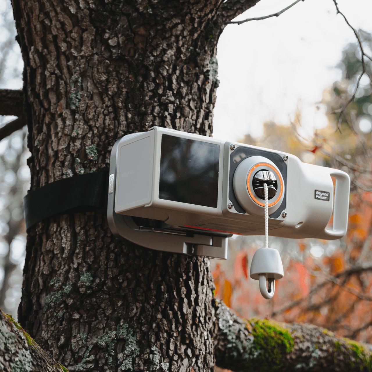 Strap Mount - view 2