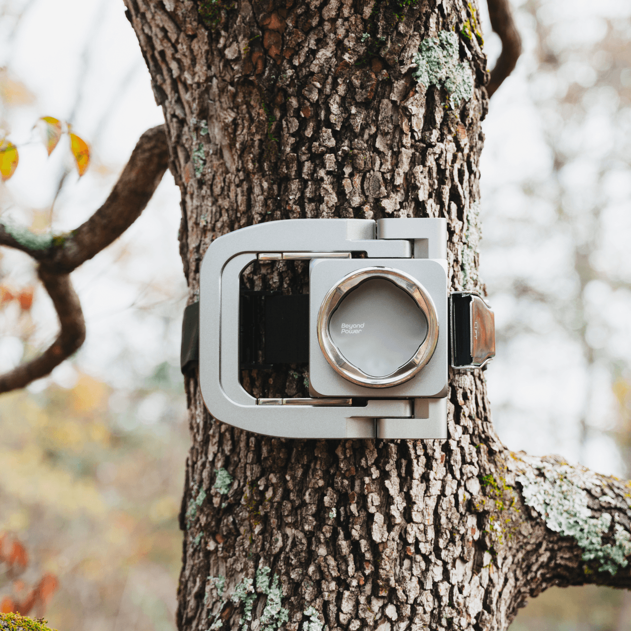 Strap Mount - view 3