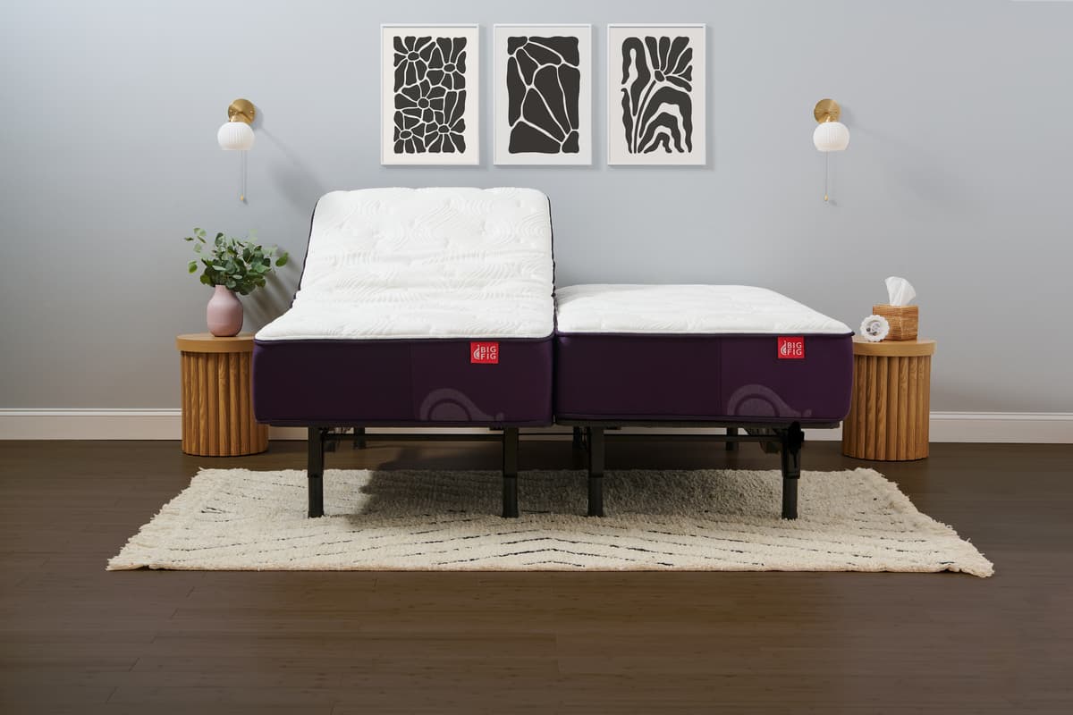 Big Fig Adjustable Base - view 3