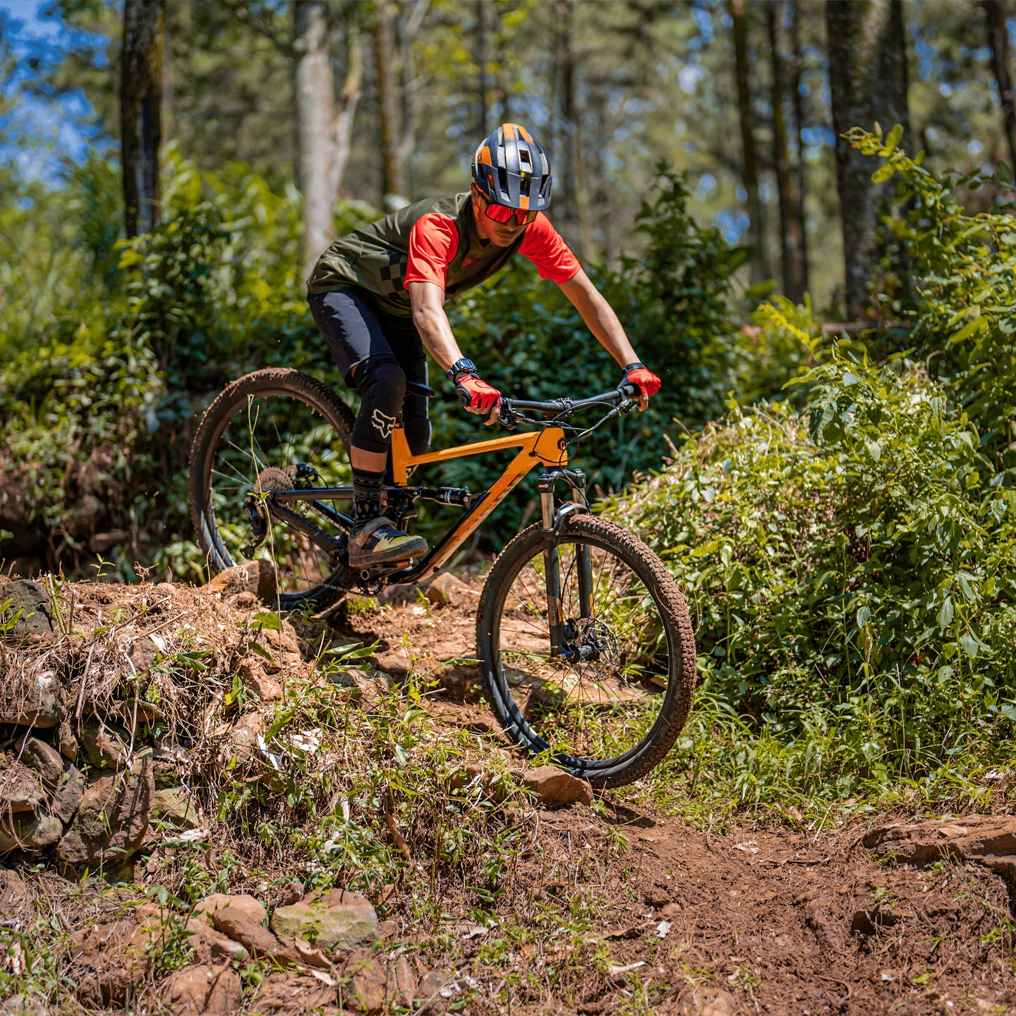 Polygon Siskiu D6 SE - Mountain Bike - view 5