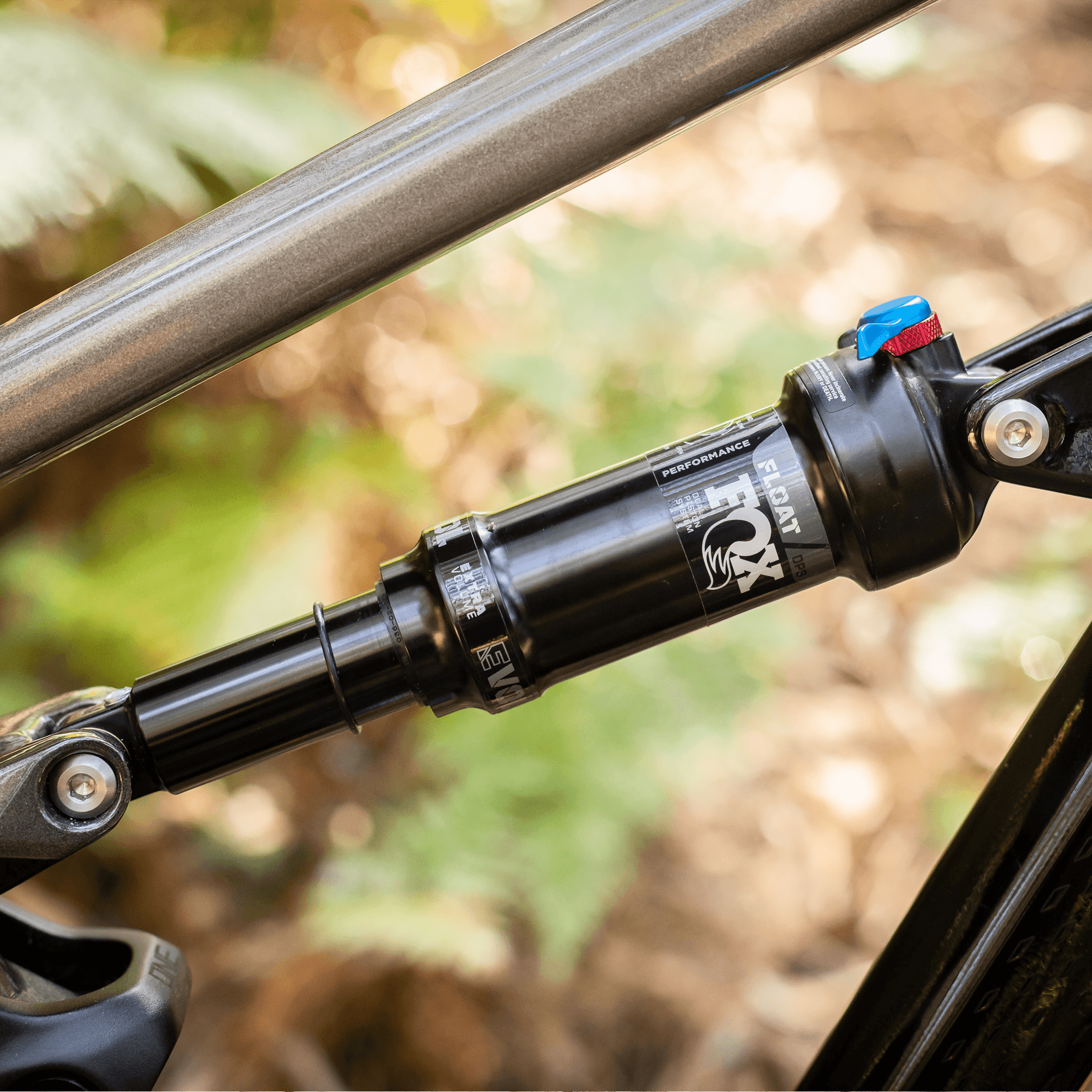 Polygon Siskiu T8 - Mountain Bike - view 5