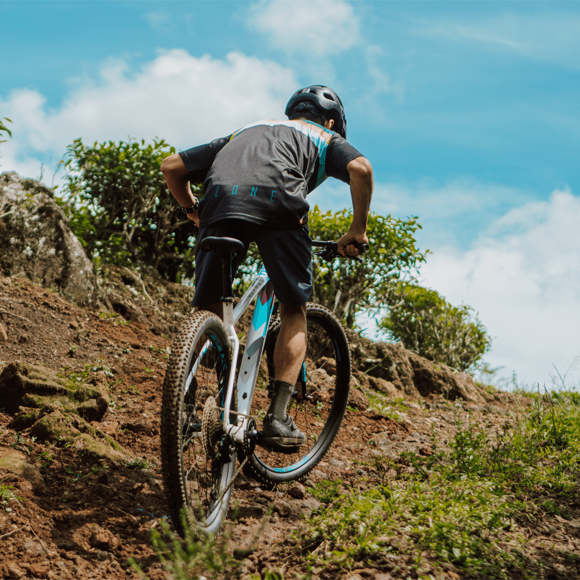 Polygon Xtrada 7 - Mountain Bike - view 3