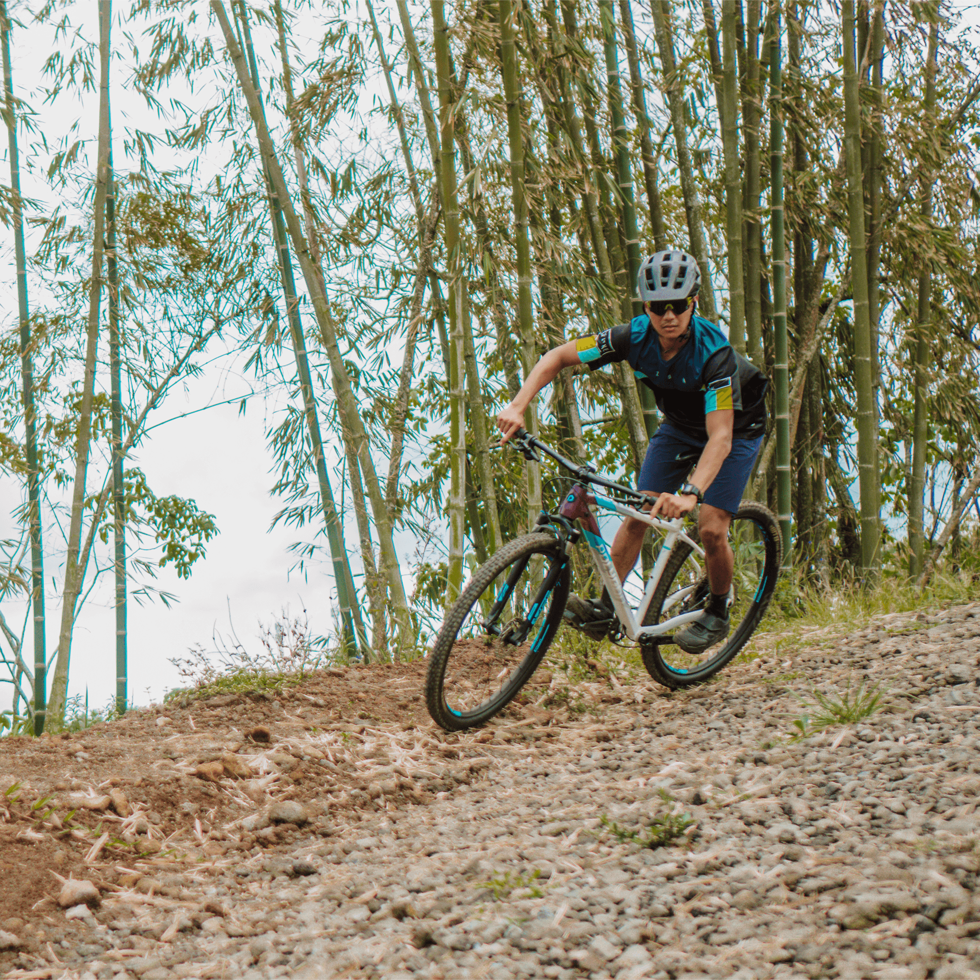 Polygon Xtrada 7 - Mountain Bike - view 6