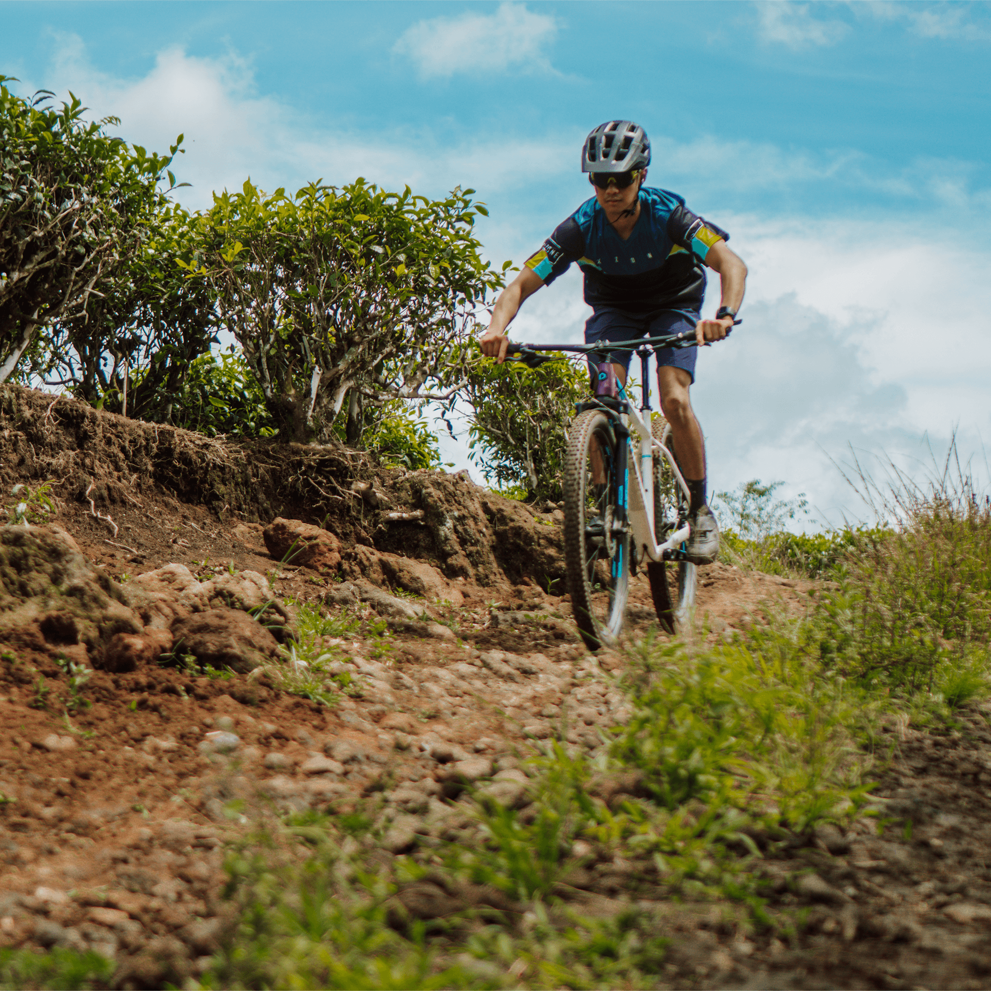 Polygon Xtrada 7 - Mountain Bike - view 4