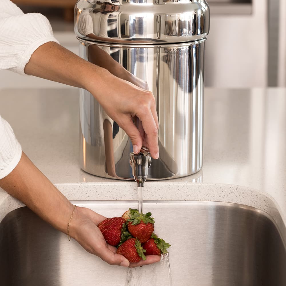 legacy.™ compact Water Filter System - view 4