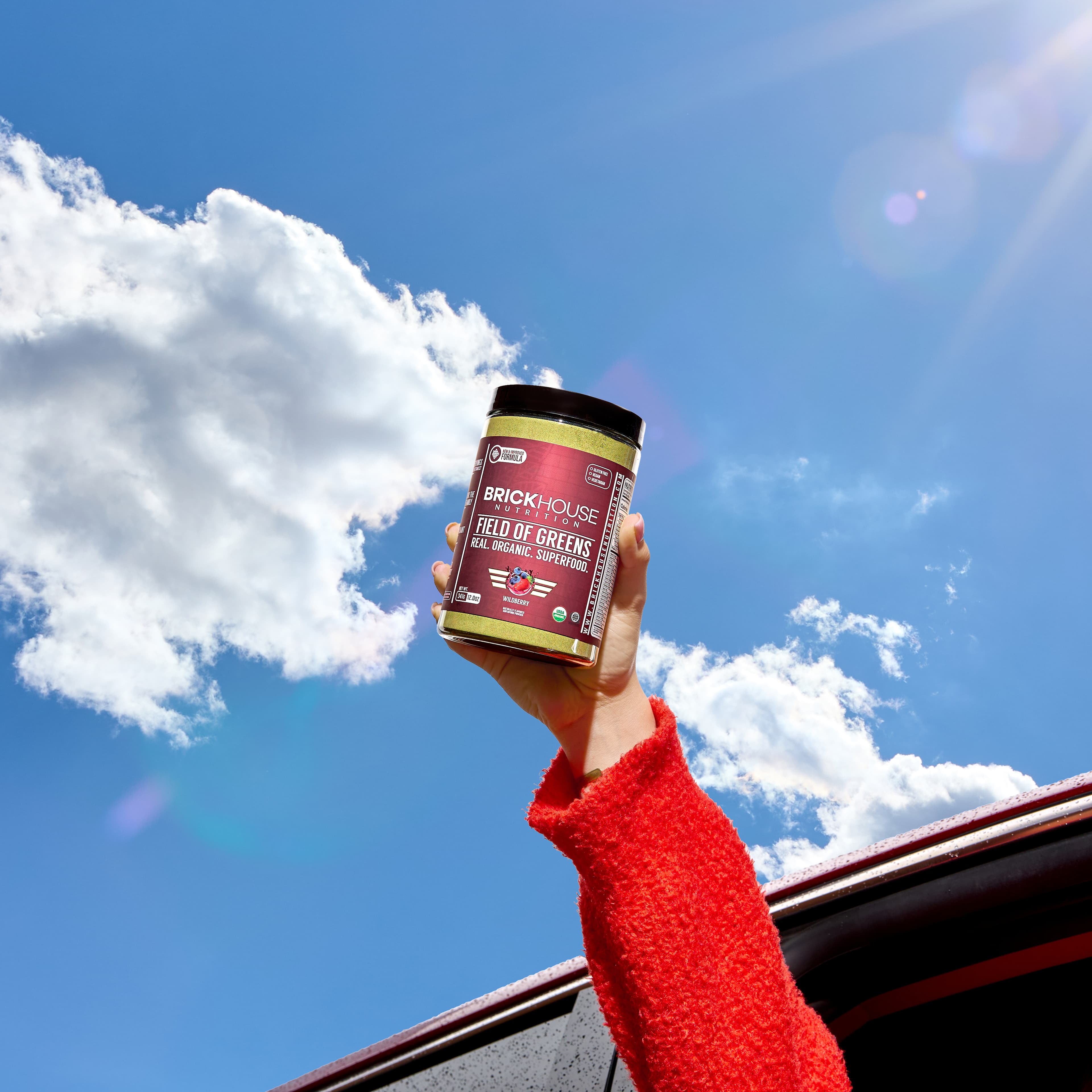 Field of Greens - view 4