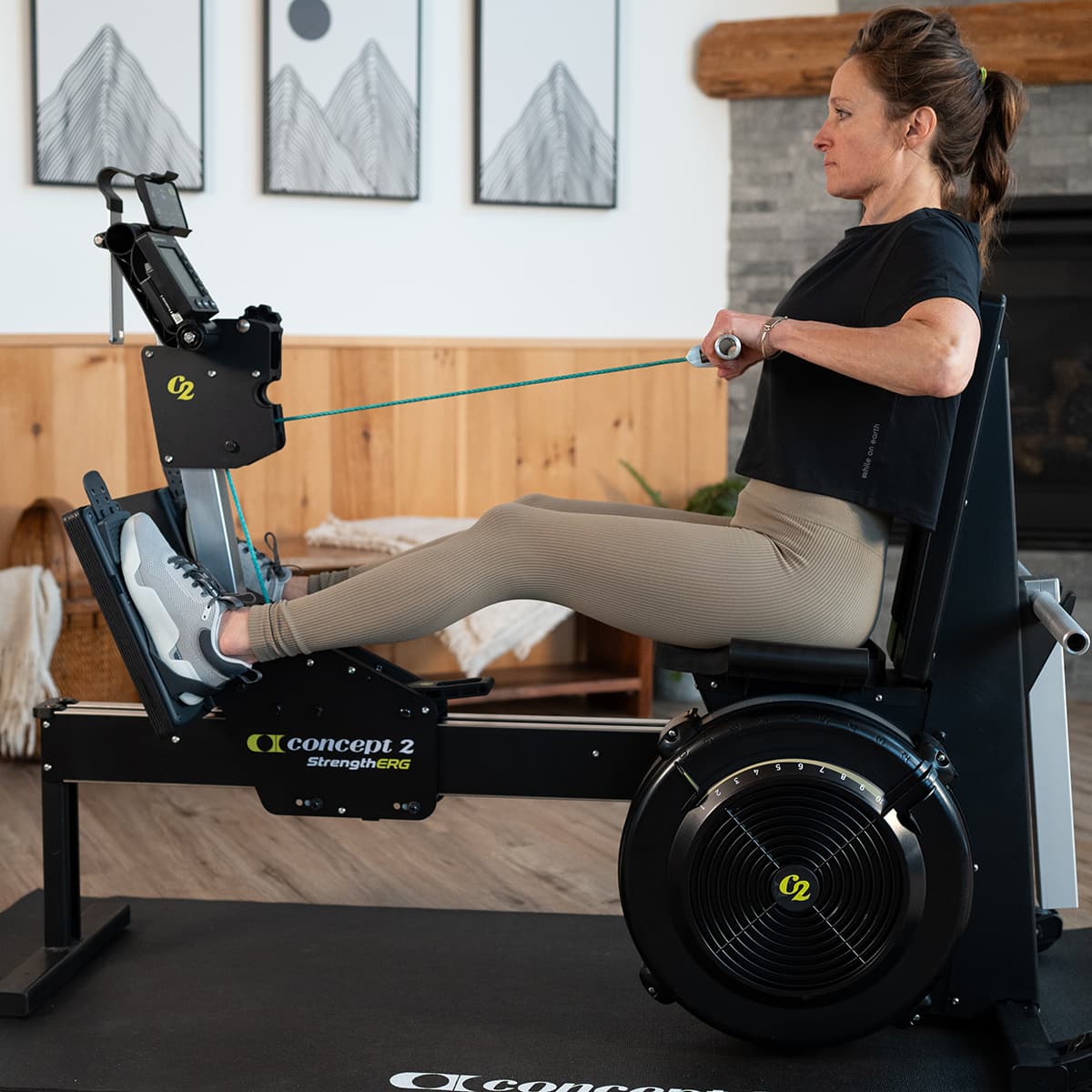 StrengthErg - view 2