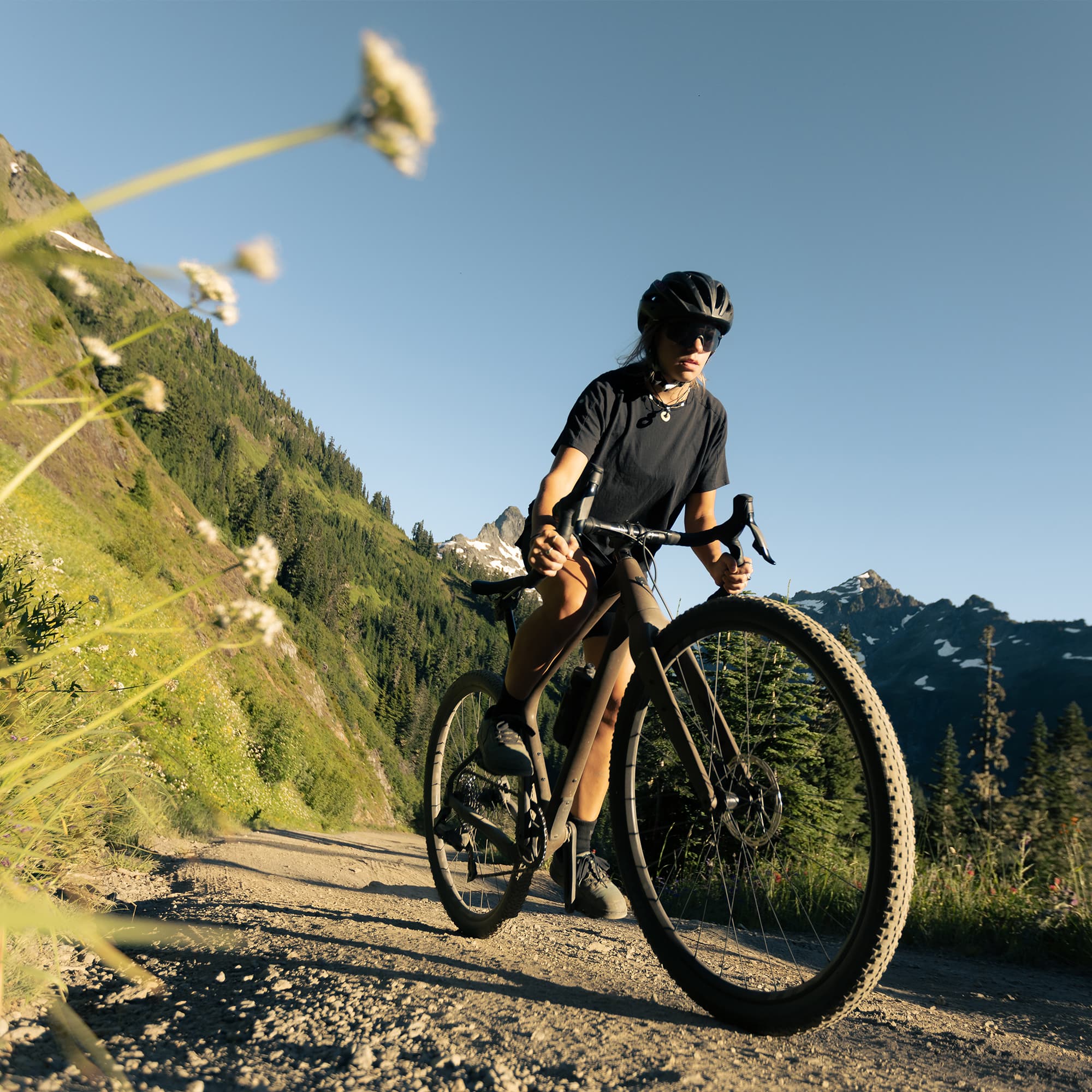 Chamois Hagar - view 6