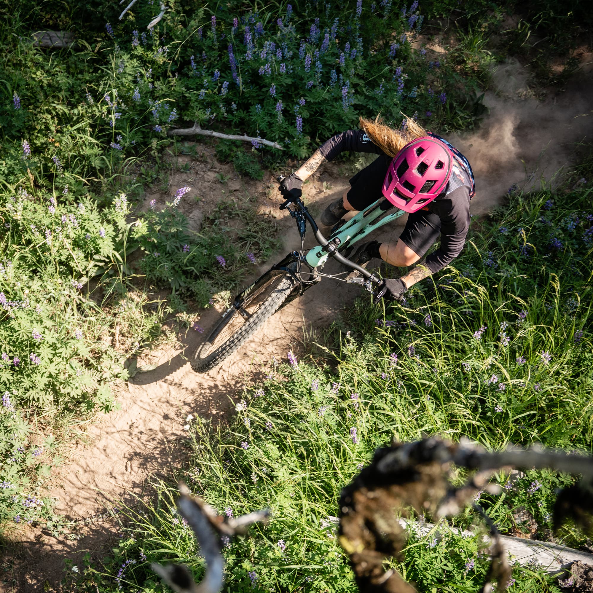 Following LS - view 4