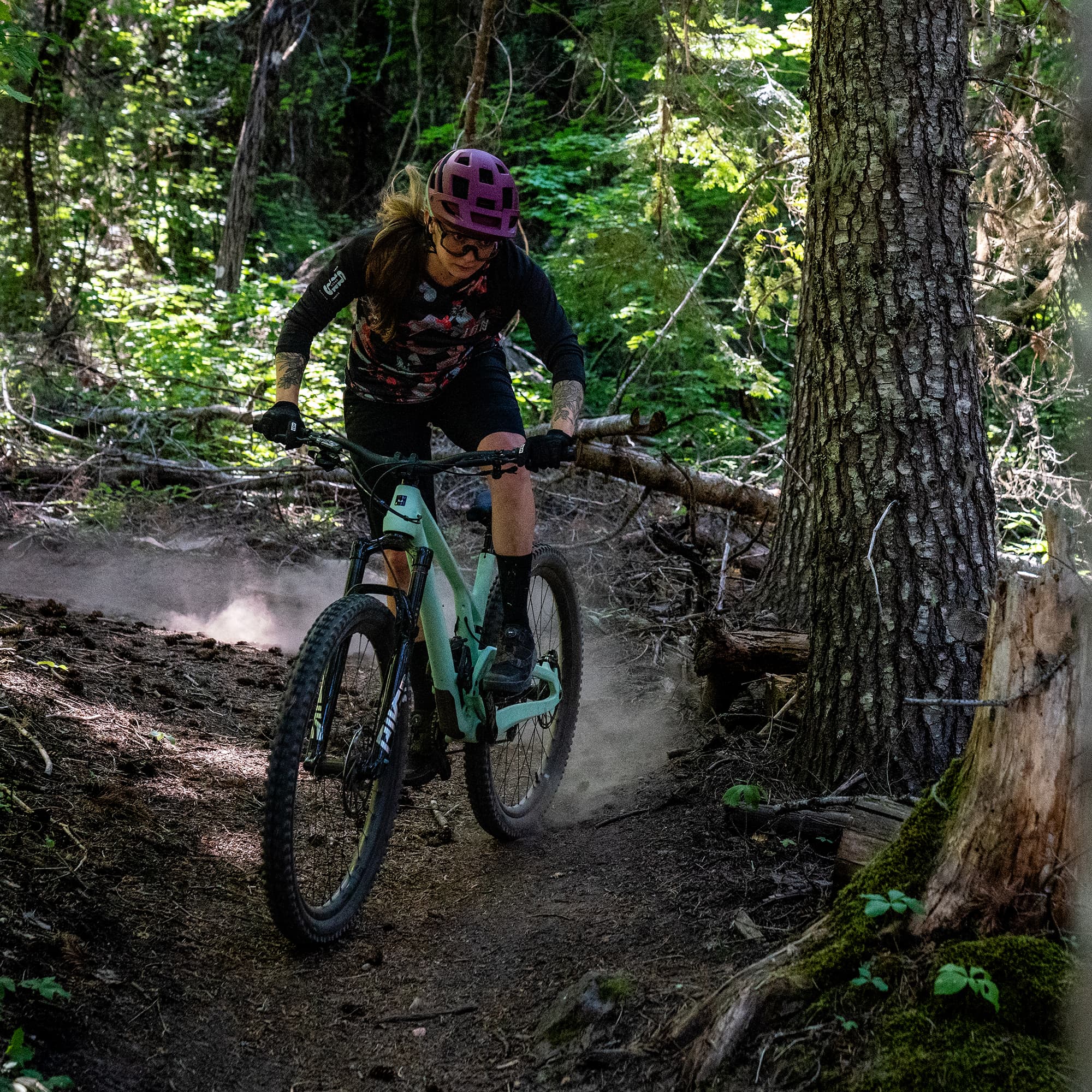 Following LS - view 3