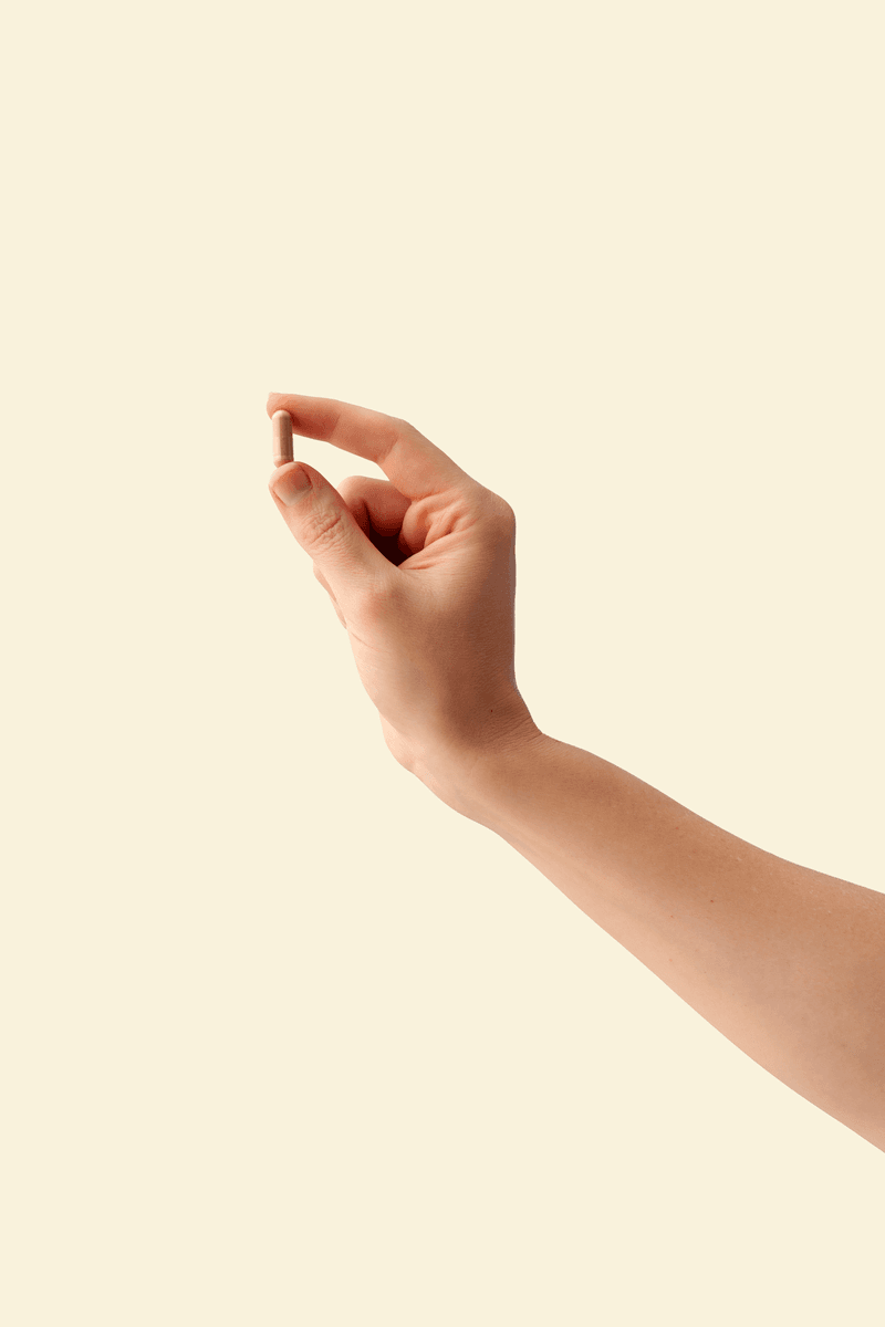 Lion's Mane Mushroom - view 3