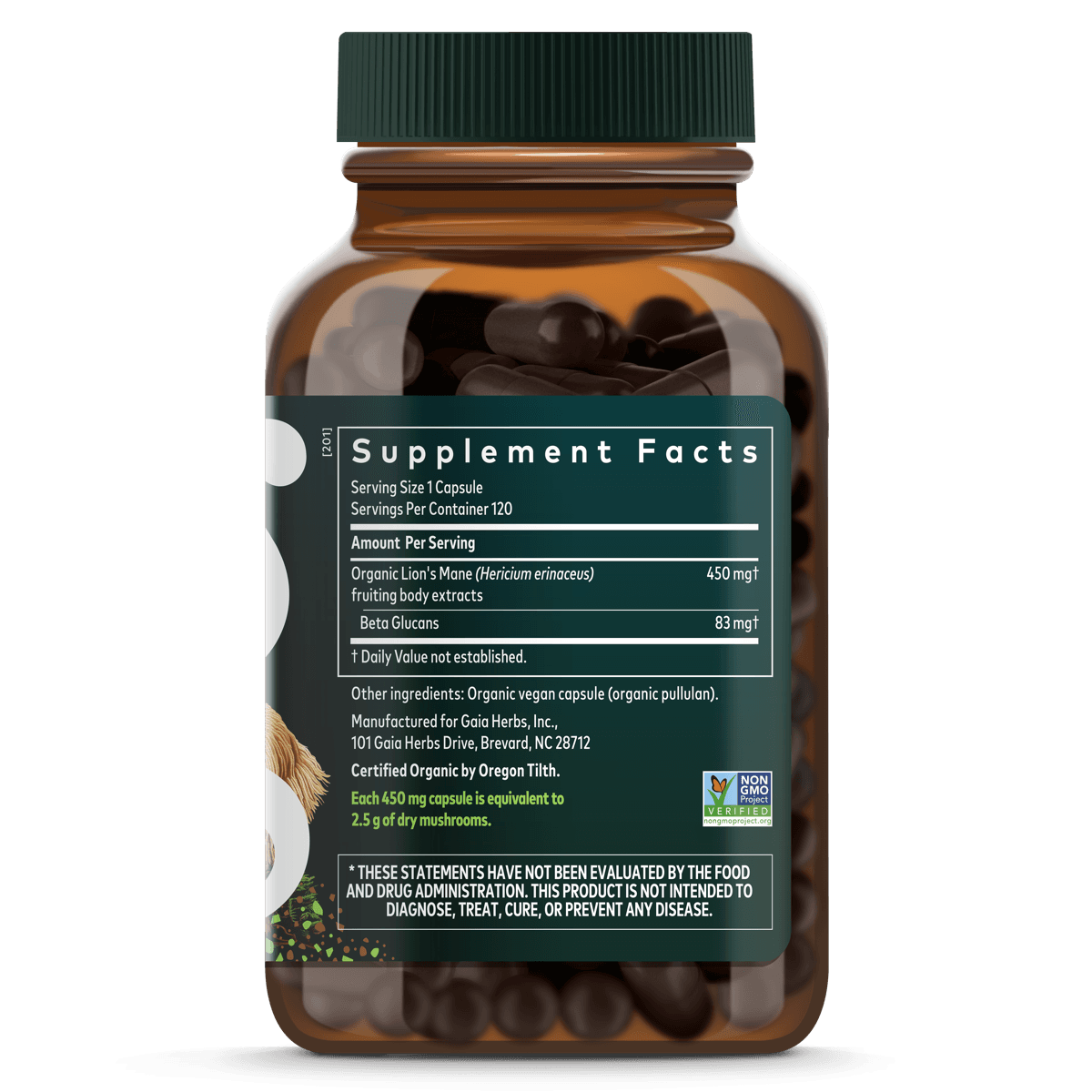 Lion's Mane Mushroom - view 2