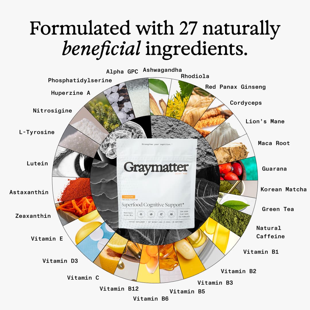 Bright Mind - view 5