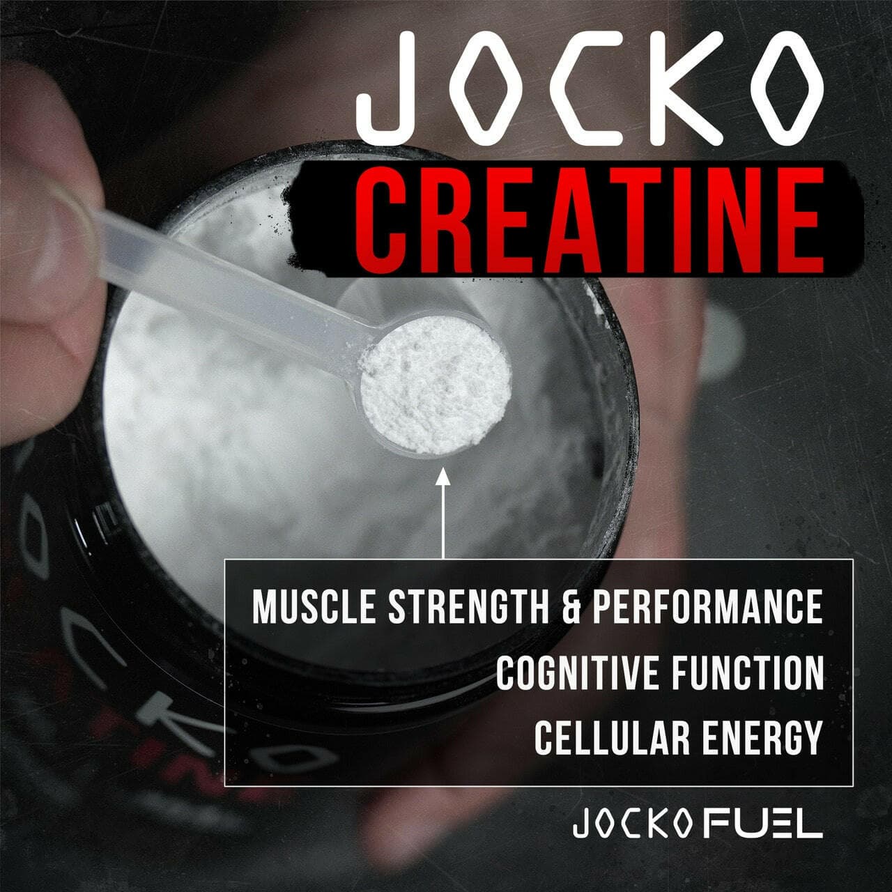 JOCKO CREATINE - view 4