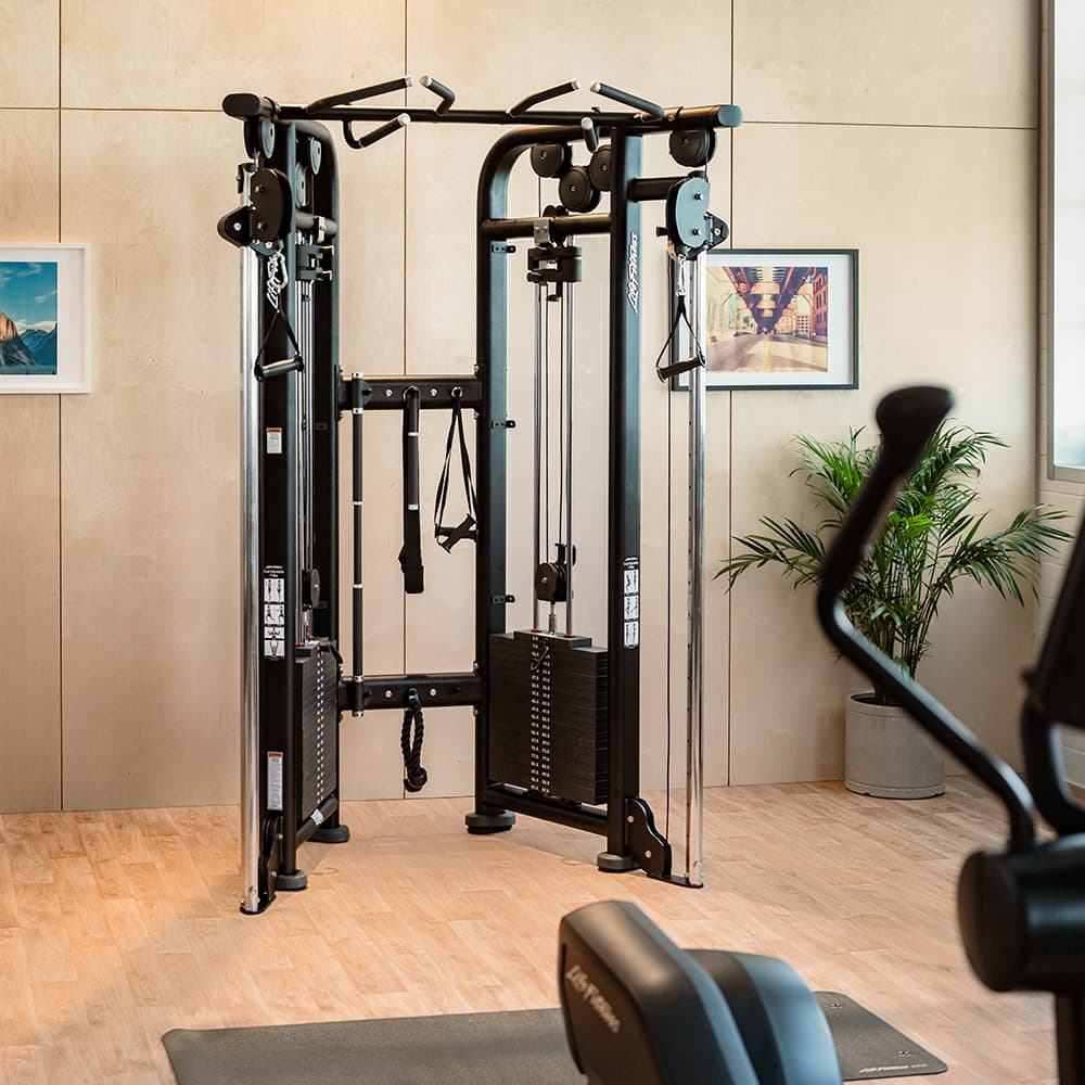 Dual Adjustable Pulley - view 3