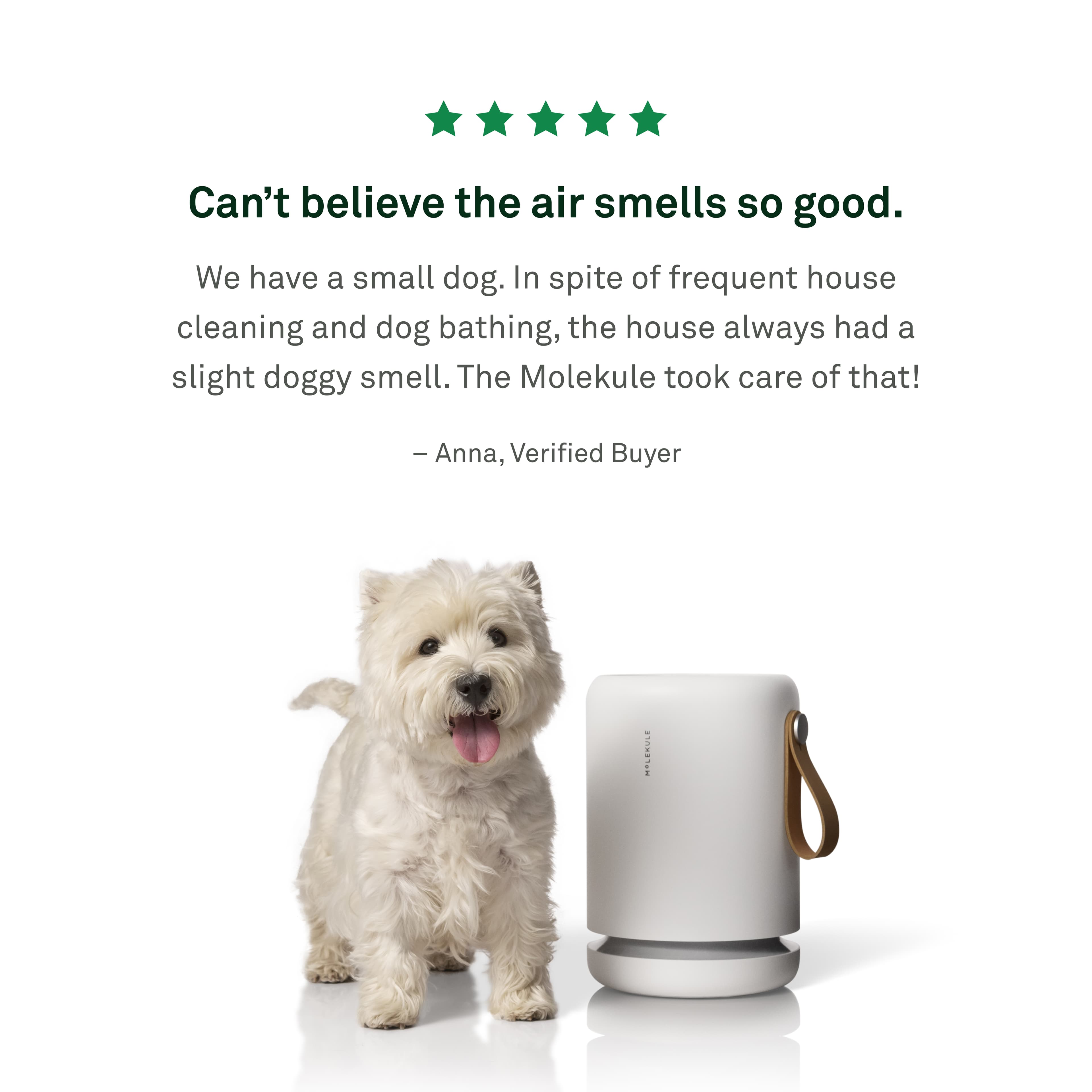 Air Mini+ with PECO-HEPA Tri-Power filter - view 2