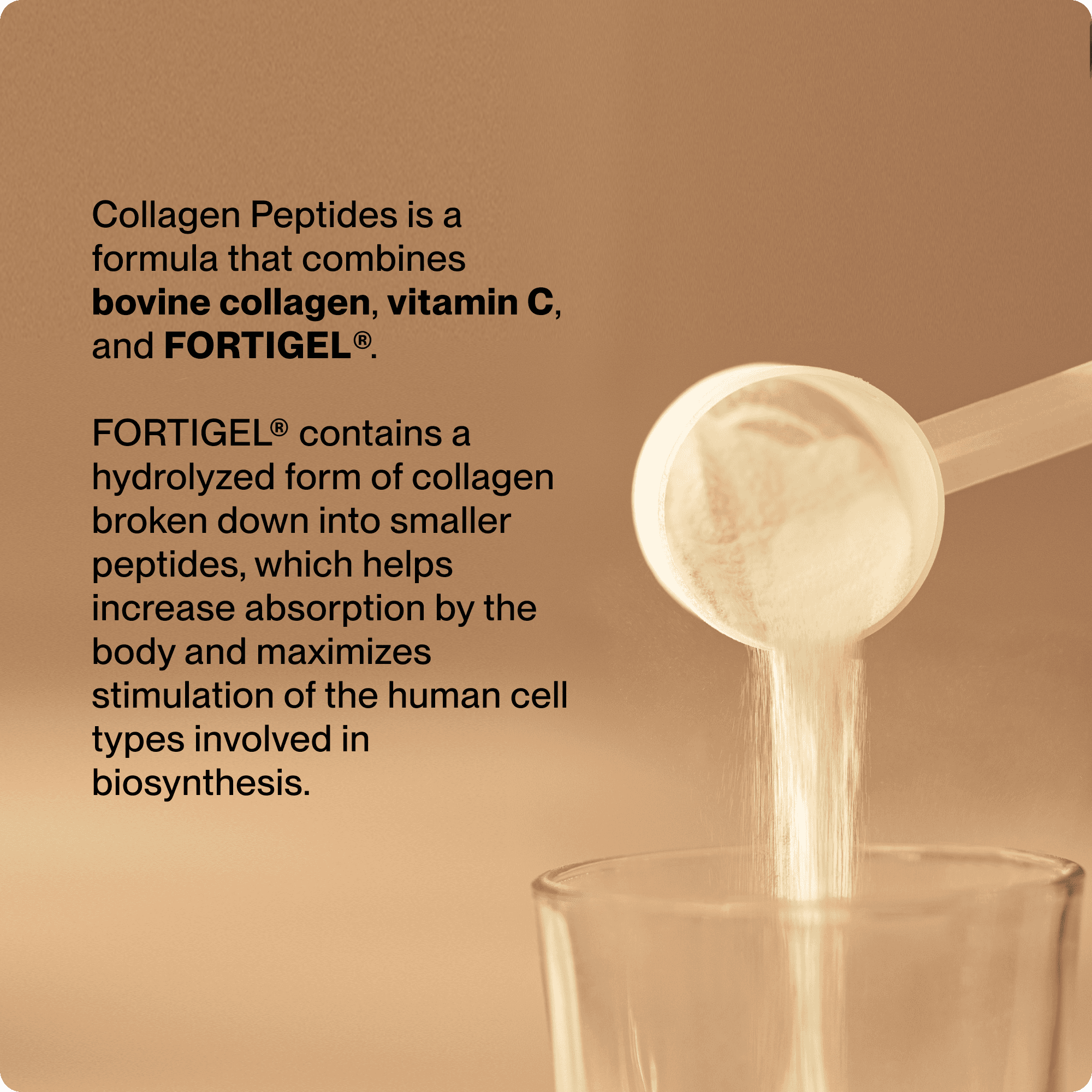 Collagen Peptides - view 3