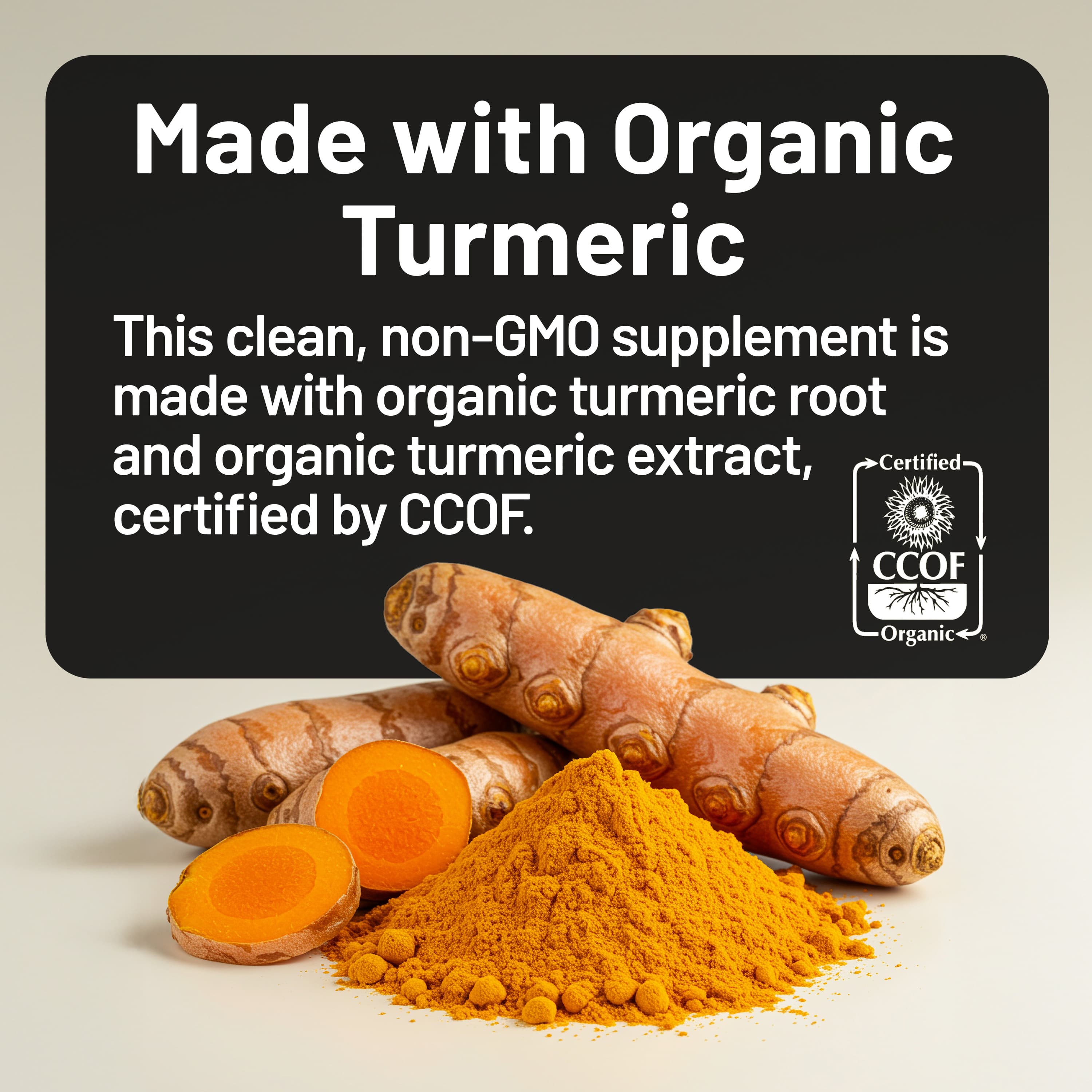 NatureWise Turmeric Curcumin - view 3