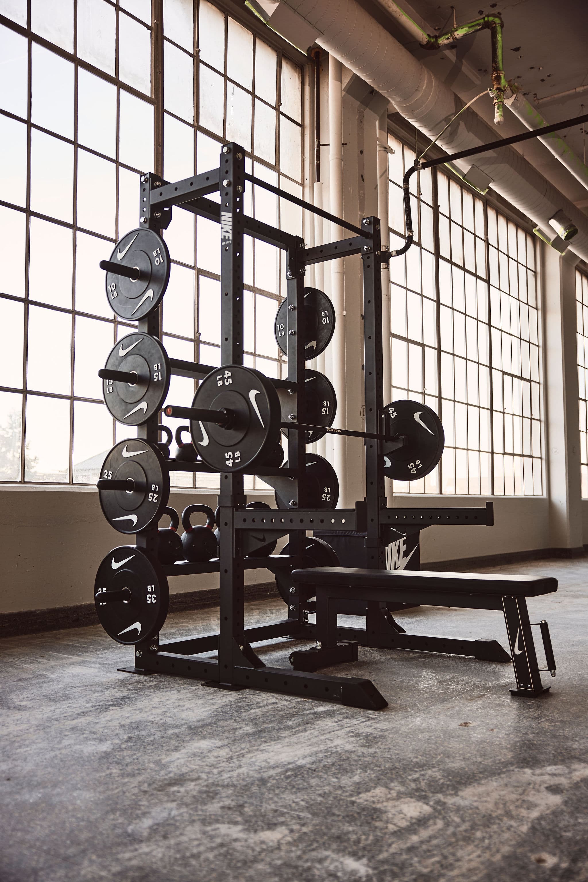 Alpha Home Gym Setup - view 5