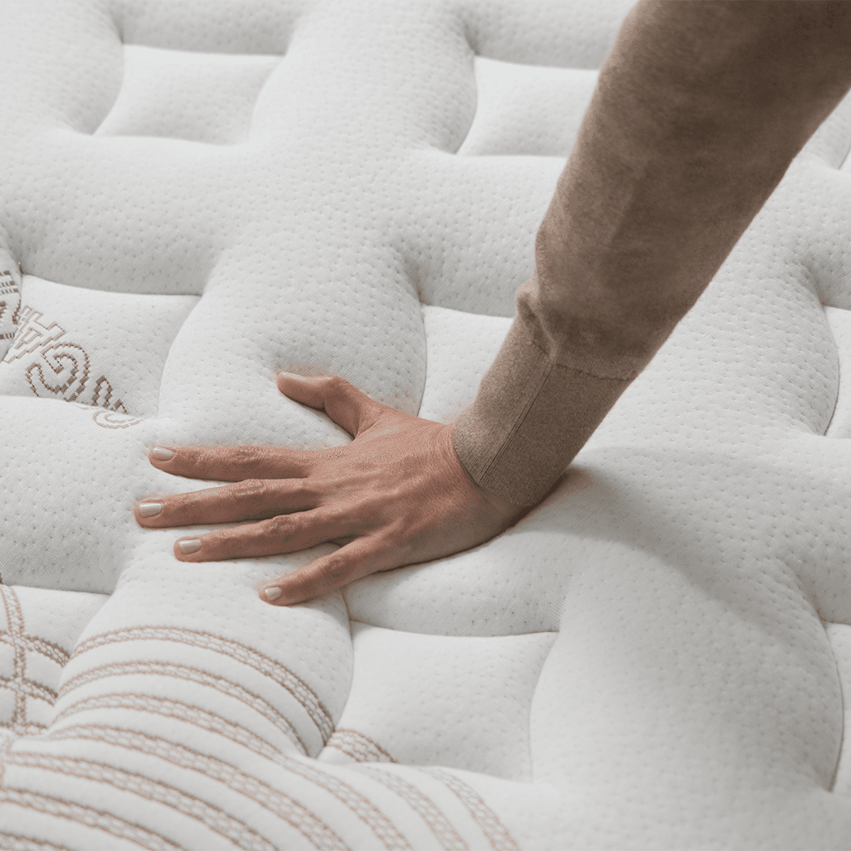 Nolah Evolution - view 6