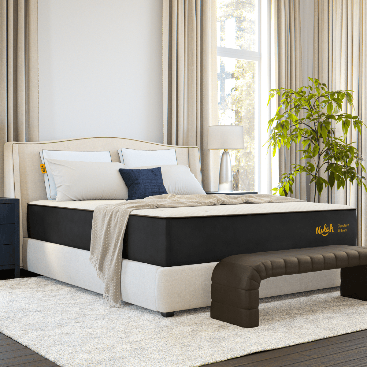 Nolah Signature - view 2