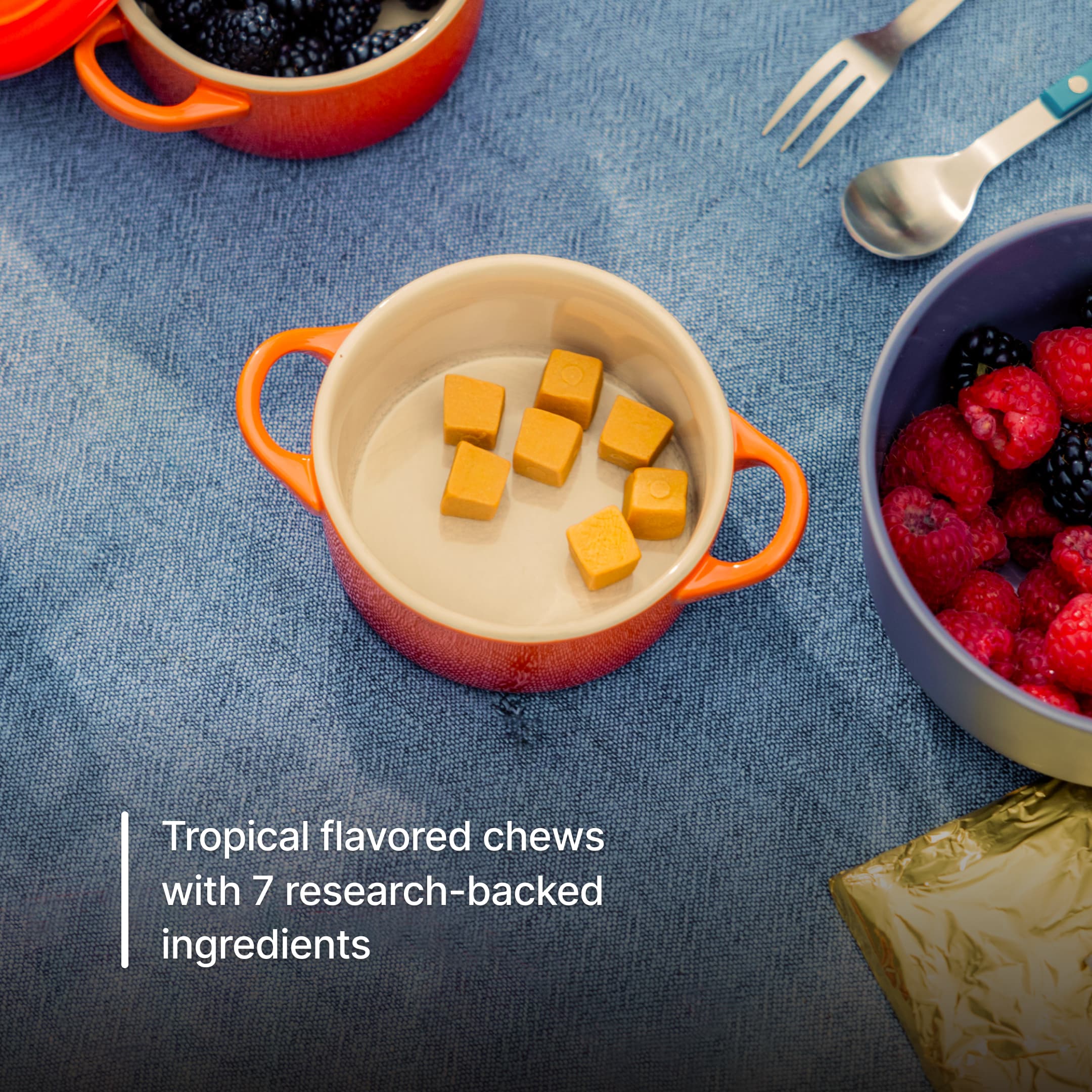 NOVOS Vital - view 2