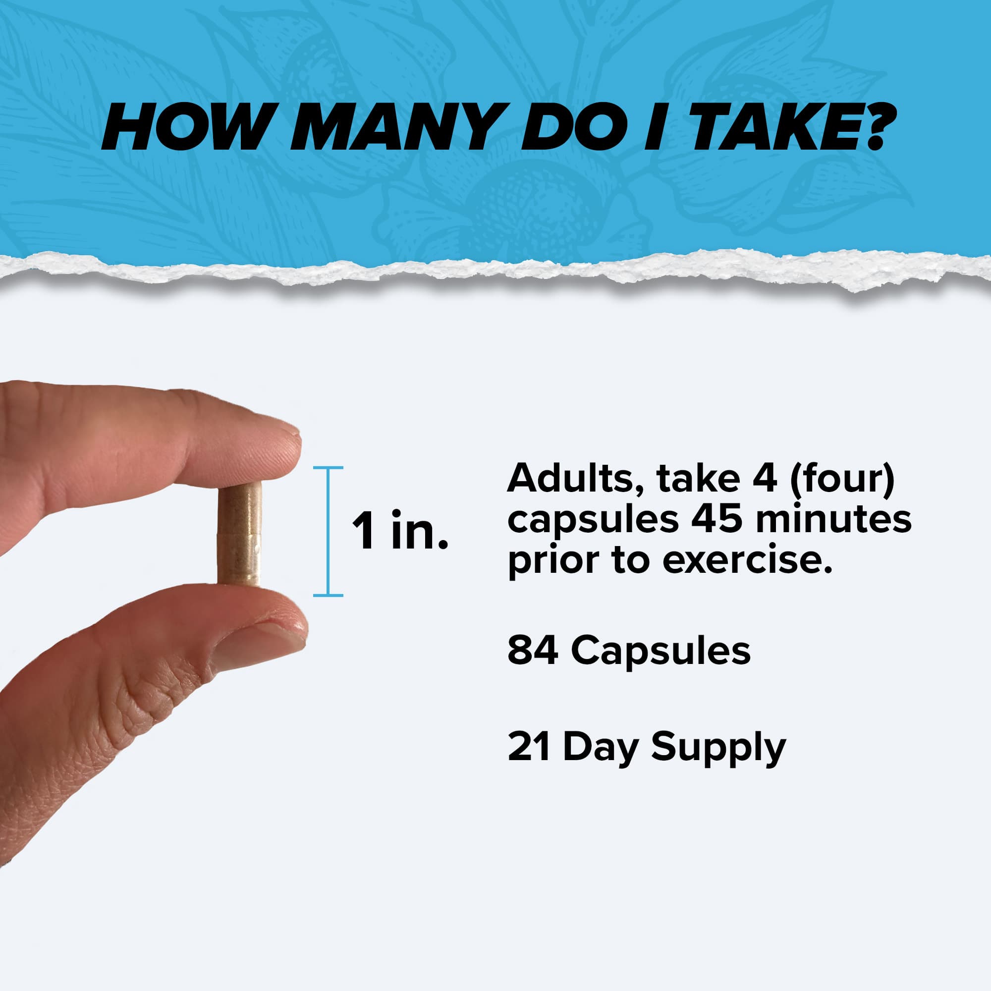 Shroom Tech® SPORT - view 2