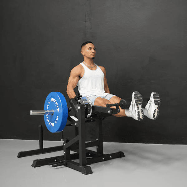 RITFIT PLC01 Leg Extension Curl Machine - view 2
