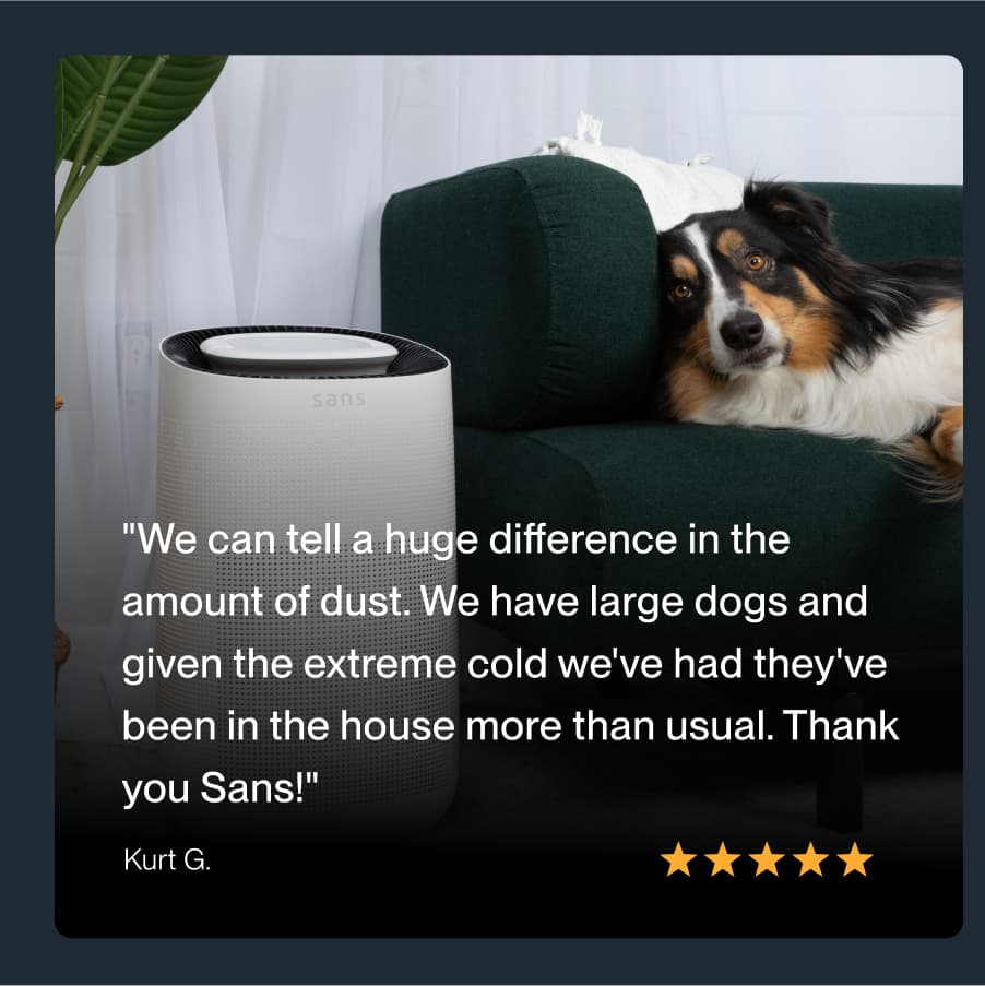 Sans Air Purifier - view 2