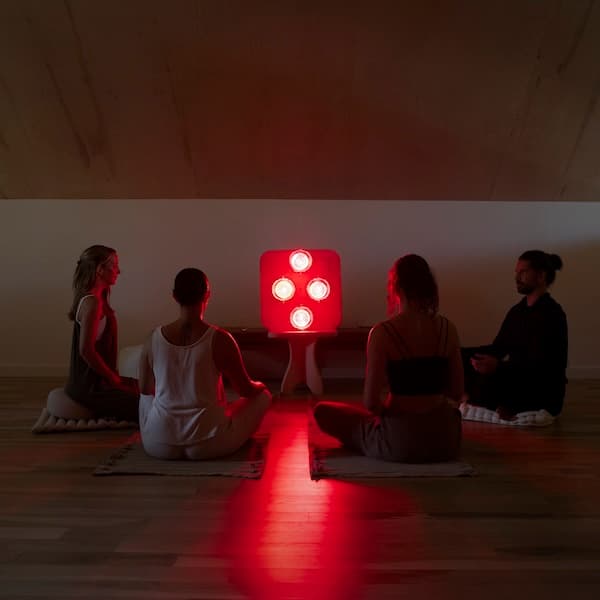 Hearth Infrared Sauna Panel - view 2