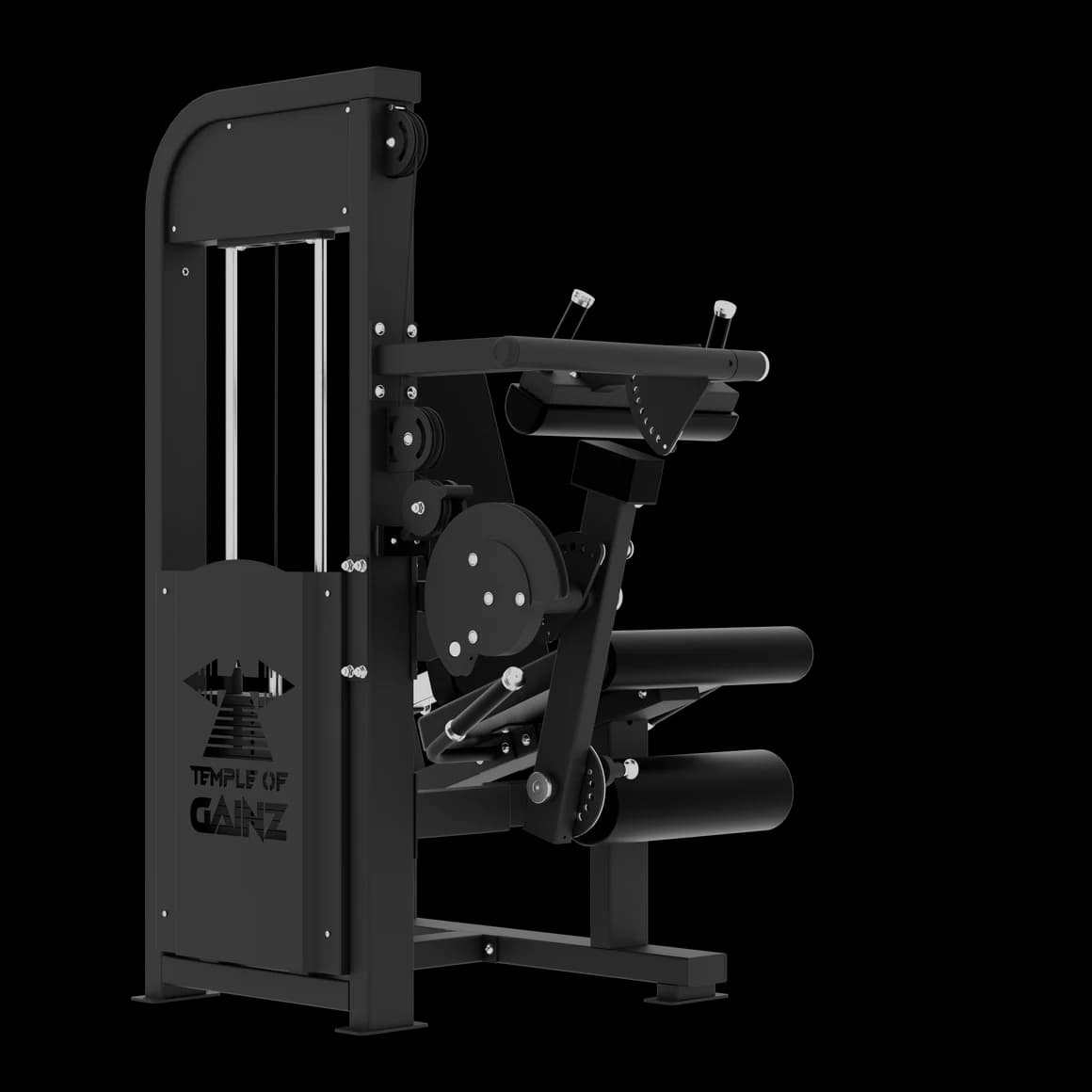 SELECTORIZED LEG EXTENSION + SEATED LEG CURL VERSION 3 - view 4