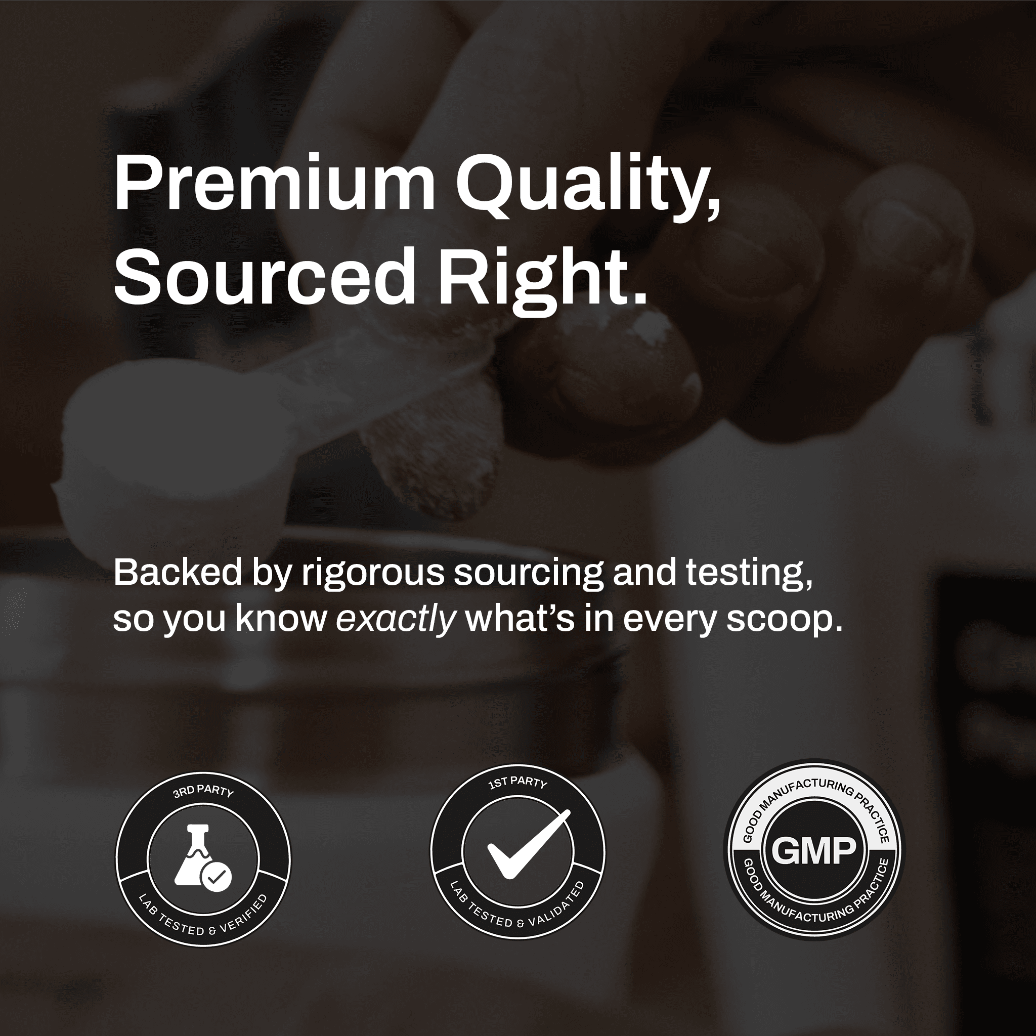 Whey Protein Concentrate (1lb.) - view 5